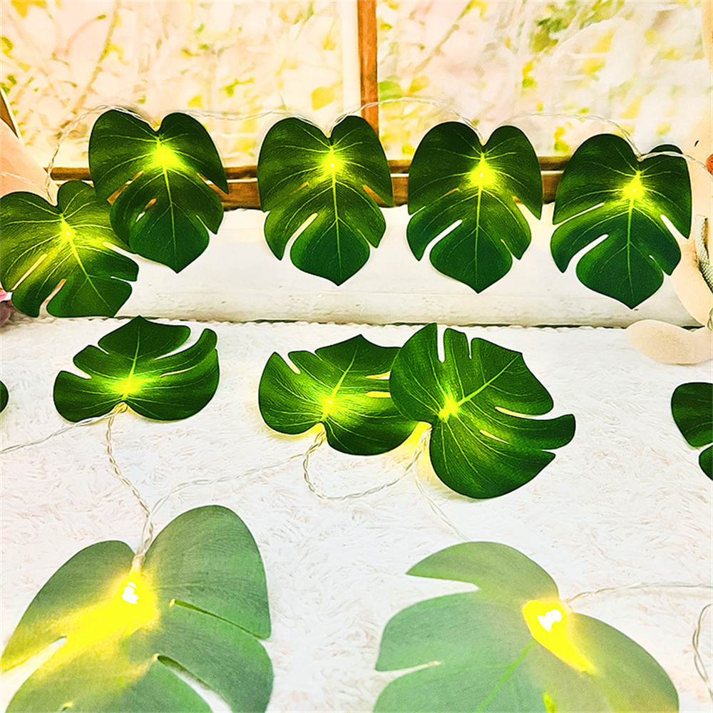philodendron gelb/braune blätter Philodendron 'Prince of Orange' kaufen main image 1