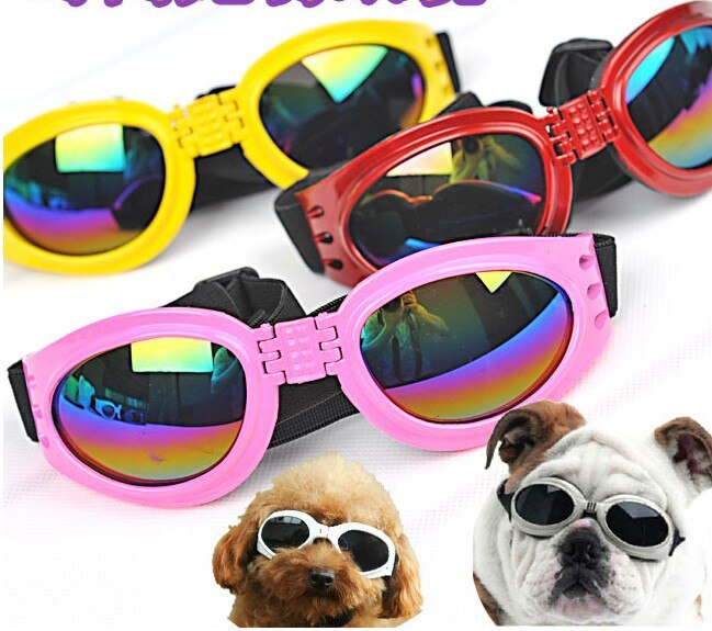 Hond Goggles Mode Hond Zonnebril Hond Bescherming UV Zonnebril Bril Zonnebril