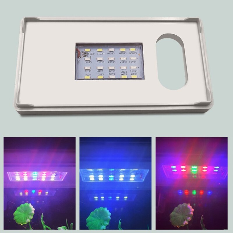 1.5 Liter Fish Tank with Hidden Filter and LED Lighting Grow Aquatic Plants and Fish in One Environment Light Adjustable