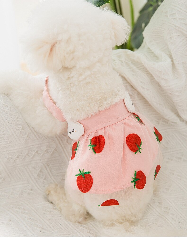 Vestidos con bordado de fresas para perros pequeños, ropa para Chihuahua, Yorkshire, accesorios para mascotas
