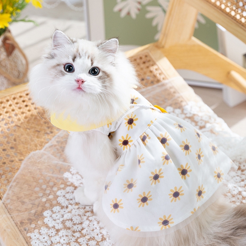 Robe de princesse pour chien, vêtements d'été mignons pour chien, jupe en dentelle pour chat, vêtements pour animaux de compagnie, Chihuahua Bichon, gilet pour chat, chiot, chemise pour filles