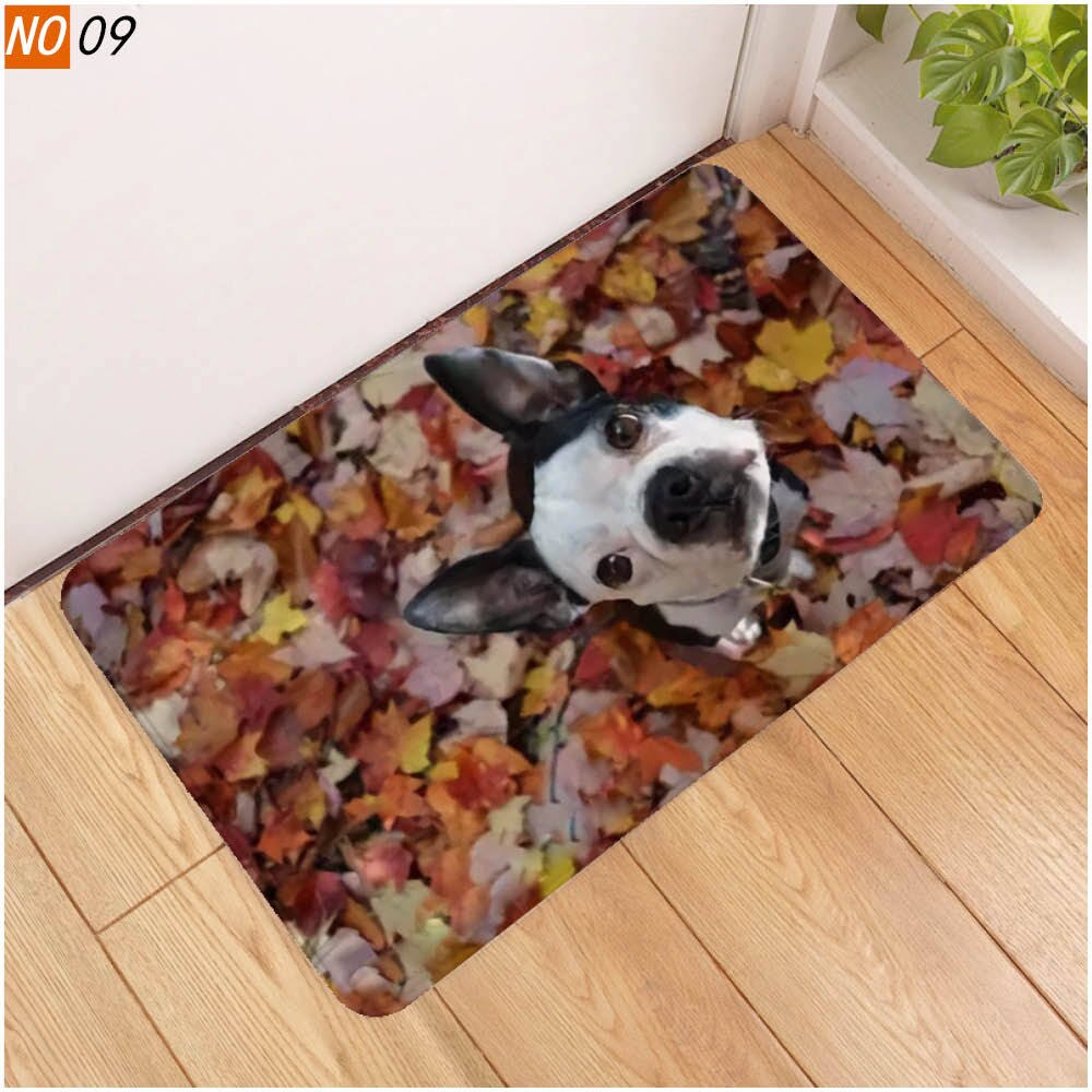 40x60 door mat 3D cute pet dog printed rubber mat 3D animal mat: 1108-9 / 50x80cm