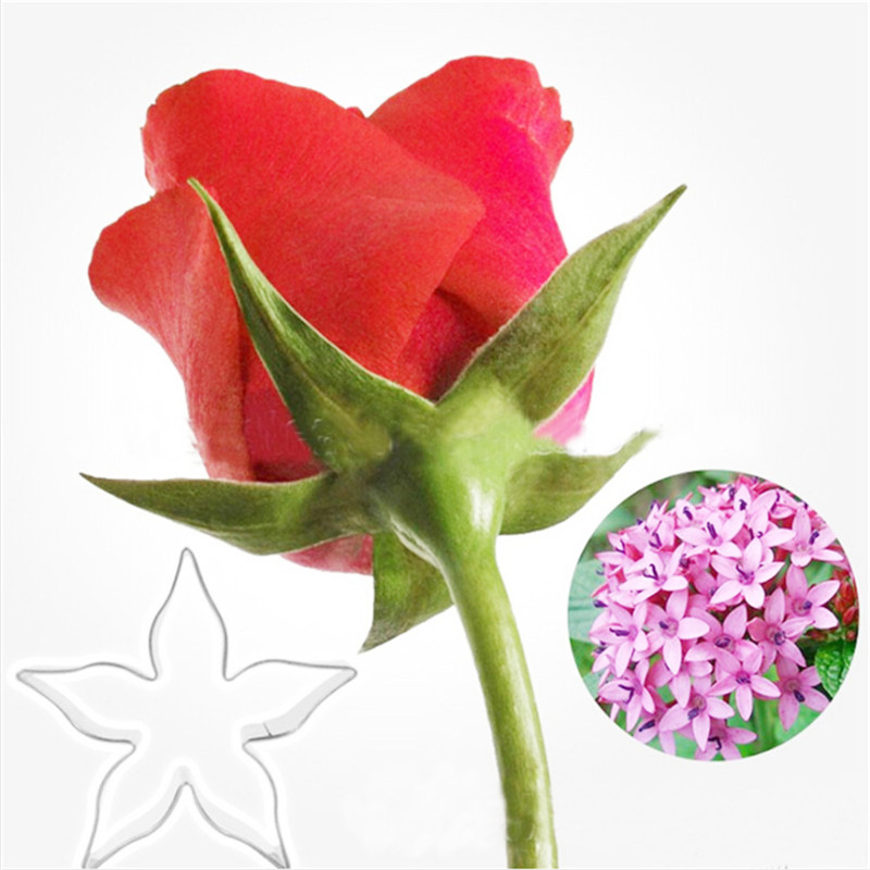Rvs Starry Bloem Cookie Cutter Biscuit Cake Keuken Bakvorm Voor Fruit Groente Decor Mold 1Pc