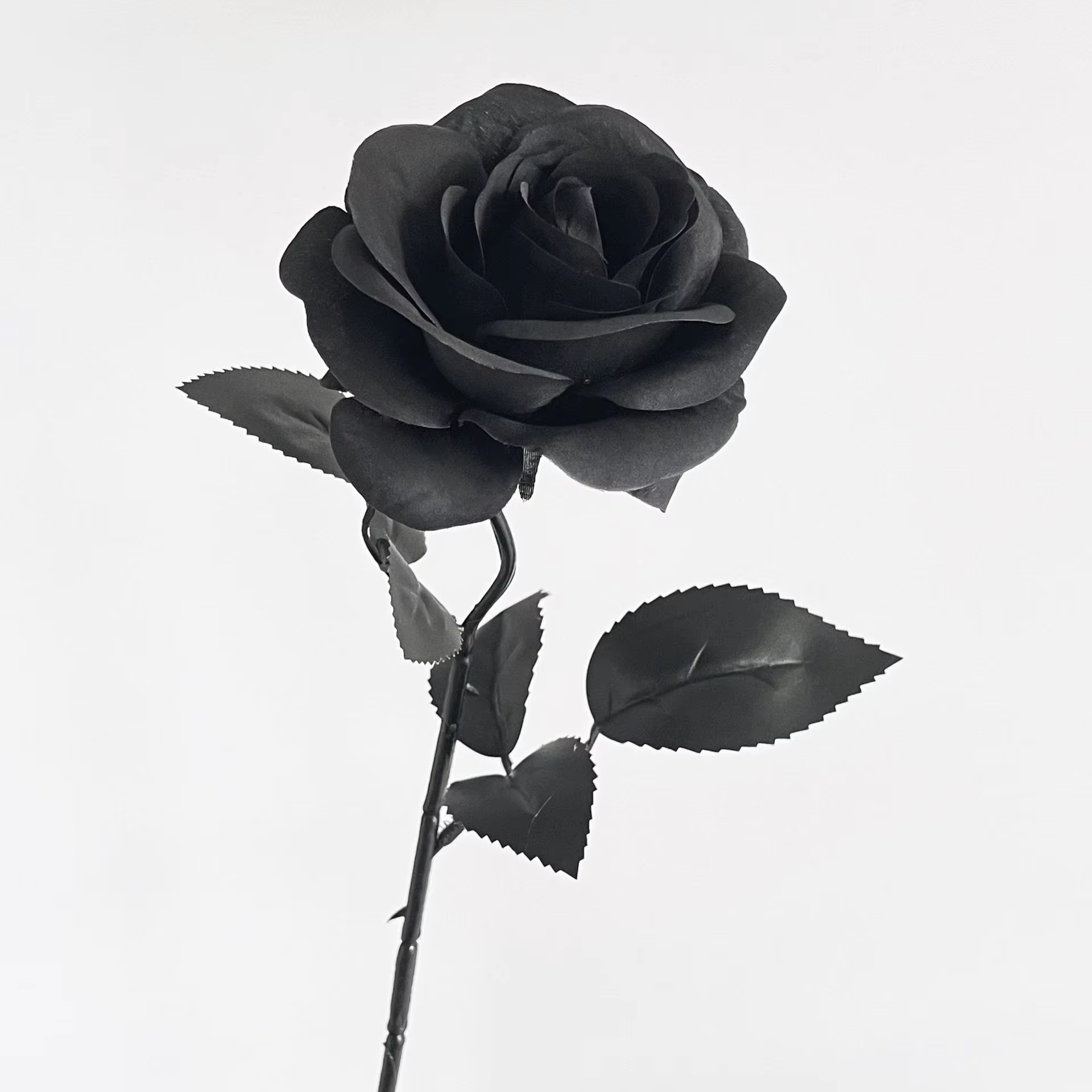 Black Silk Rose Gothic Artificial Flowers Bride Wedding Hand Holding Bouquet for Party Wedding Home Garden DIY Halloween Decor: Champagne
