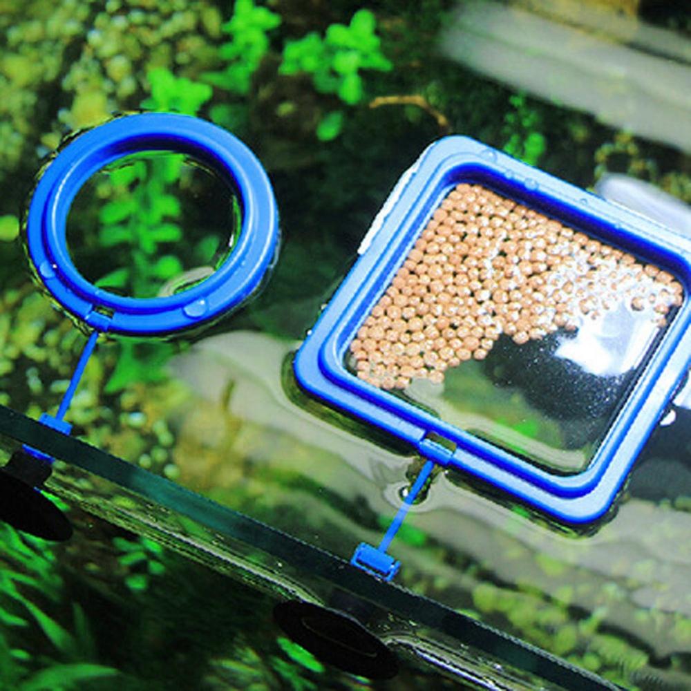 Visvoer Ring Aquarium Aquarium Kleine Type Tropische Zuignap Fish Feeder Voeden Ring Ronde Vierkante Aquarium Accessoires