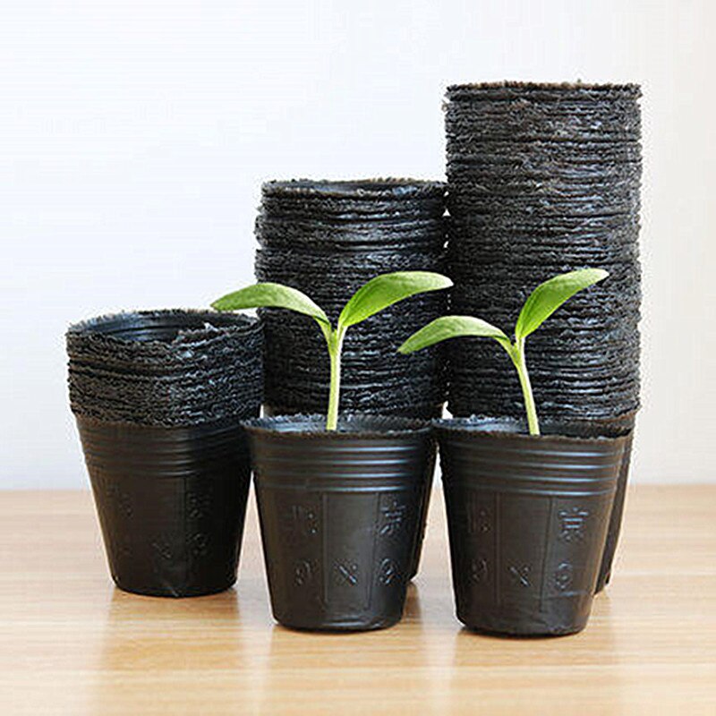 FOXCUP 30 Piezas Macetas Fertilizante Caja con Tapa - Negro Plastico Cestas de Fertilizante Herramienta Bonsái para Plantación CE Jardines Agrícolas