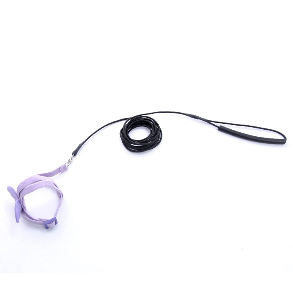 Calopsitte oiseau harnais longueur réglable Ultra léger corde d'entraînement Anti perdre perroquet laisse avec boucle pour aras vol extérieur