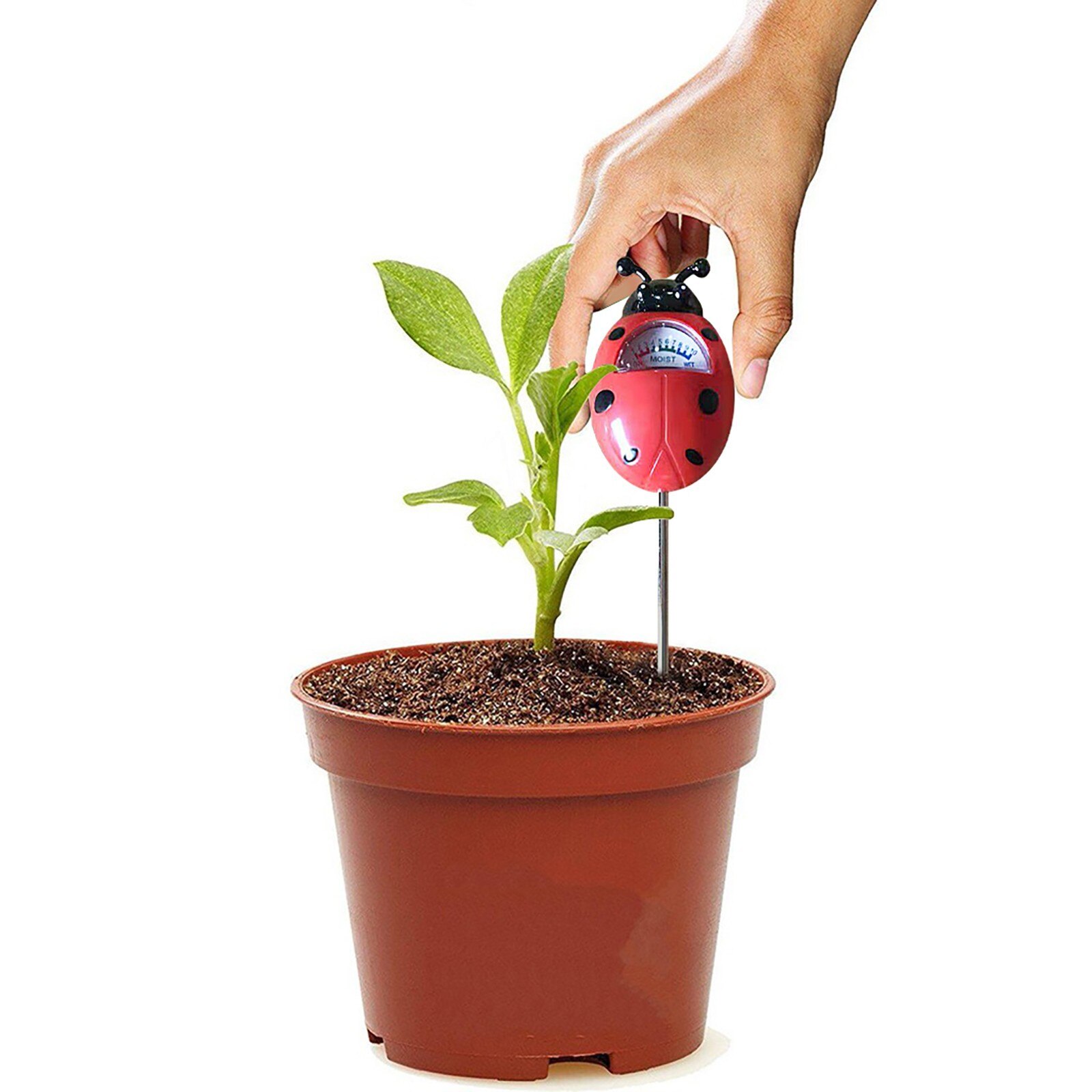 Testeur de Ph du sol 3 en 1, testeur d'humidité et d'acidité du sol, testeur d'humidité du sol, pour les semis de plantes de jardin