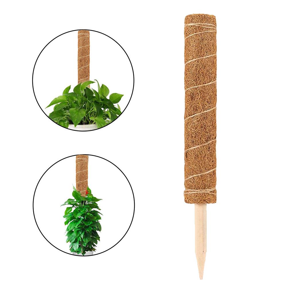 Plante klatring coir totempæl sikker havearbejde kokosnød palmestok til klatring planter vinstokke og creepers plante klatring søjle