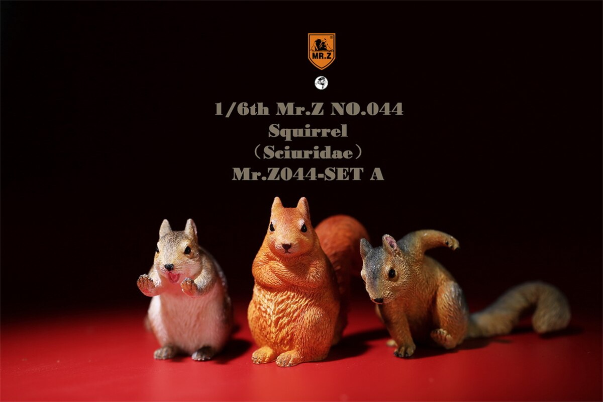 Mr.Z Studio 1:6 3Pcs Squirrel Pet Figure Sciuridae Animal Collector Model Toy Kid Resin Ornaments Healing Small Jewelry: Mr.Z044-SET A