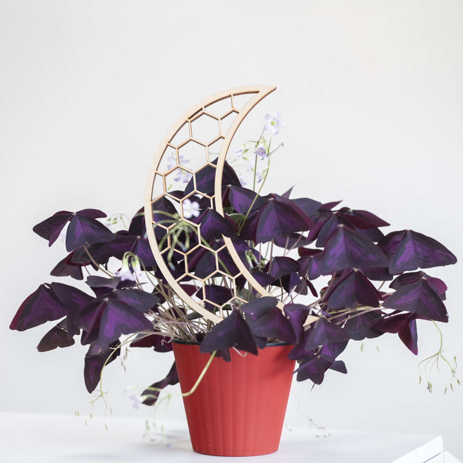 3pcs Plant Wooden Trellis Vine Plant Supports Wooden Plant Support Stakes