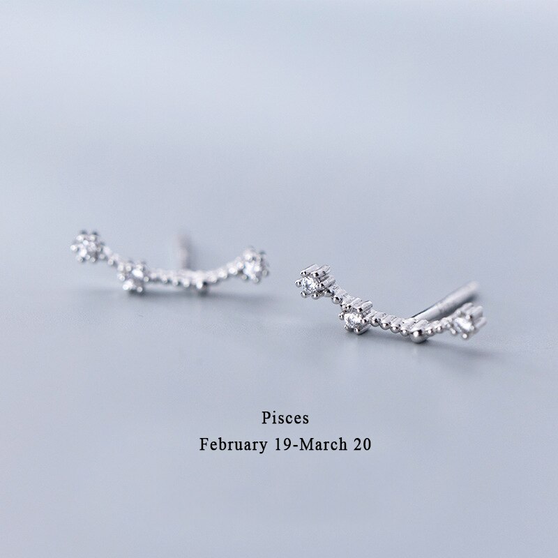 925 Sterling Silver AAA Cublic Zirconia Scorpio Taurus Twelve Constellation Zodiac Sign Stud Earrings Ear Piercing Jewelry: Pisces