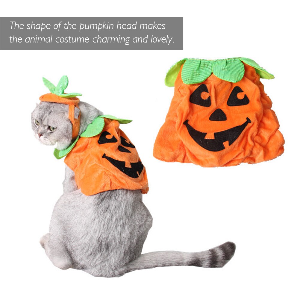 Pumpkin Cat Clothes Funny Cat Halloween Costume with Headdress Cat Clothing Halloween Clothes Dressing Up