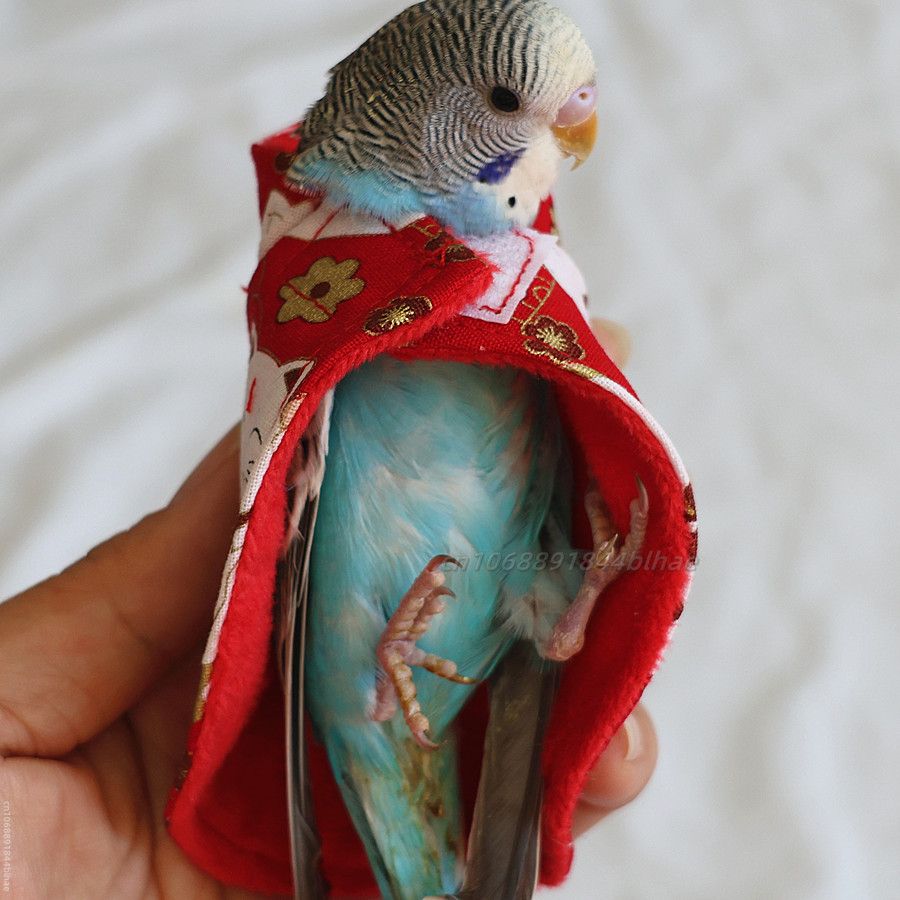 Ropa encantadora para pájaros, cubierta colorida, vestido y protege tus loros de mascotas, cómoda tela para pájaros, traje para pájaros, ropa para periquitos