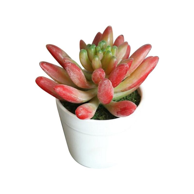 Kunstmatige vetplanten voor binnen, levendige groene planten, kleine potcactussen voor kantoor, thuis, tuin, za