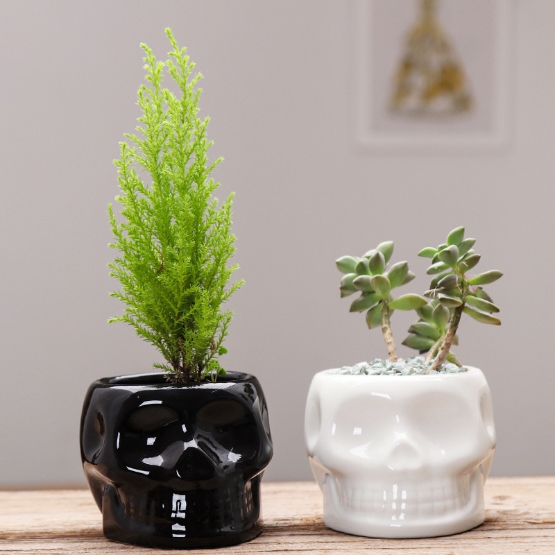 Zwart Wit Schedel Keramische Bloempotten Creatieve Succulent Bloem Planter Milieuvriendelijke Bloempot Huis Tuin Pot