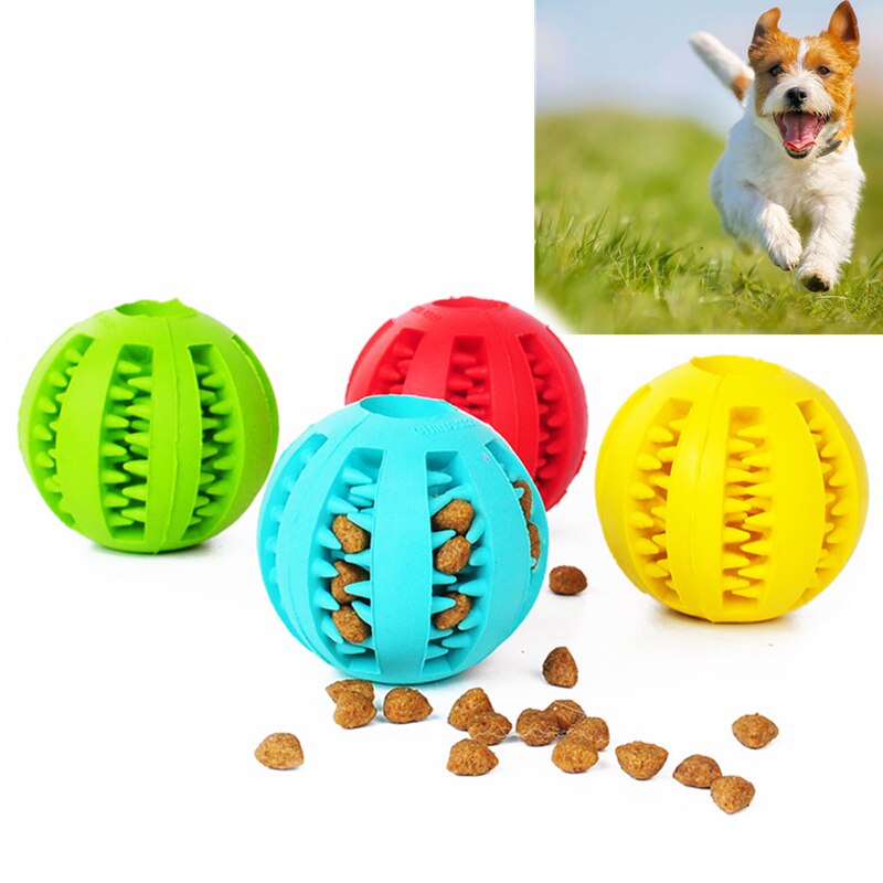 Bola de goma para perro mascota, divertido juguete, herramienta de alimentación para dientes masticar, juguete para jugar con perros, soporte de dispensación Dental para entrenamiento