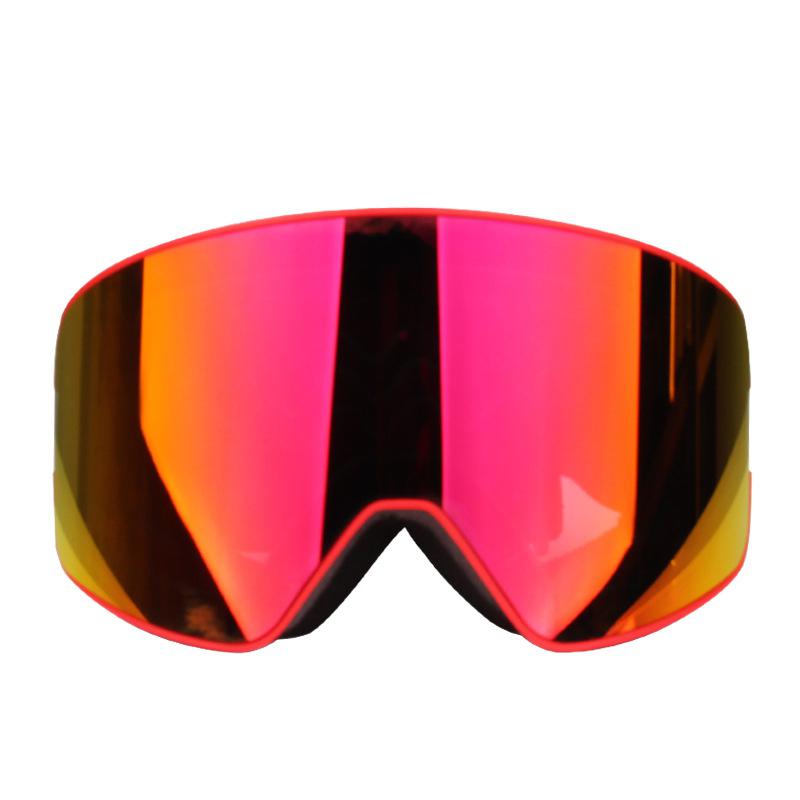Utomhus snowboard skidglasögon dubbla lager sandtäta antidimglasögonglasögon klättring cykling ridning skidglasögon: E