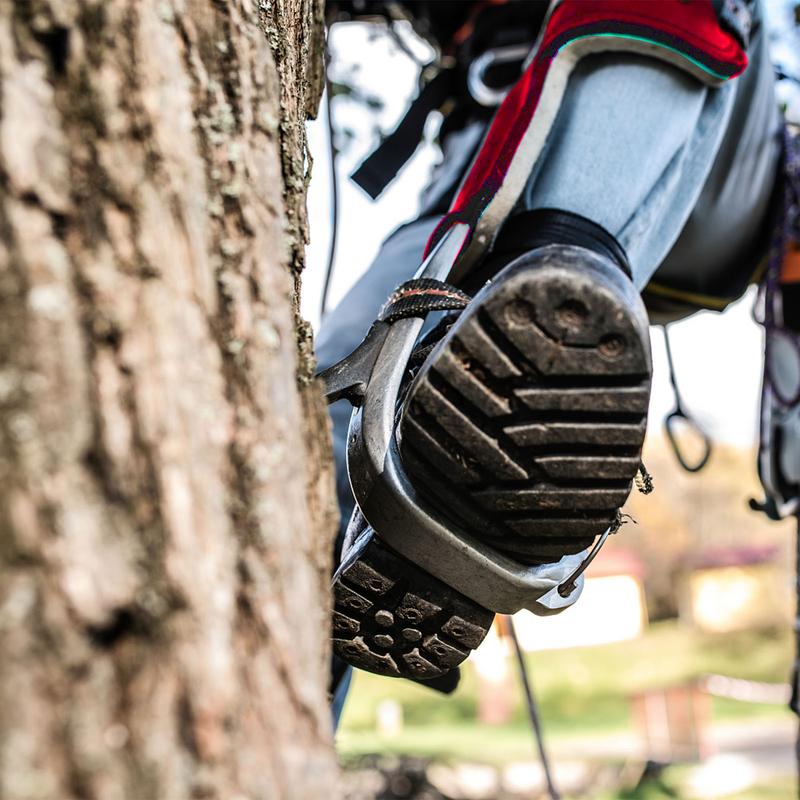 Tree Climbing Spikes Tree Shoes Boots Hunting Shoes Tree Climbing Equipment Artifact Kit Climber Arborist Aider Tool
