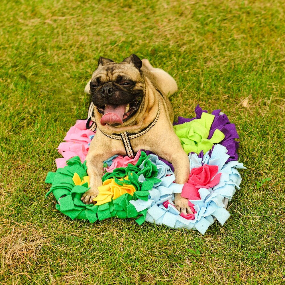 Sniffing Rug Dog Smell Training Sniffing Blanket Feeding Mat Training Mat for Pet Dogs Cats