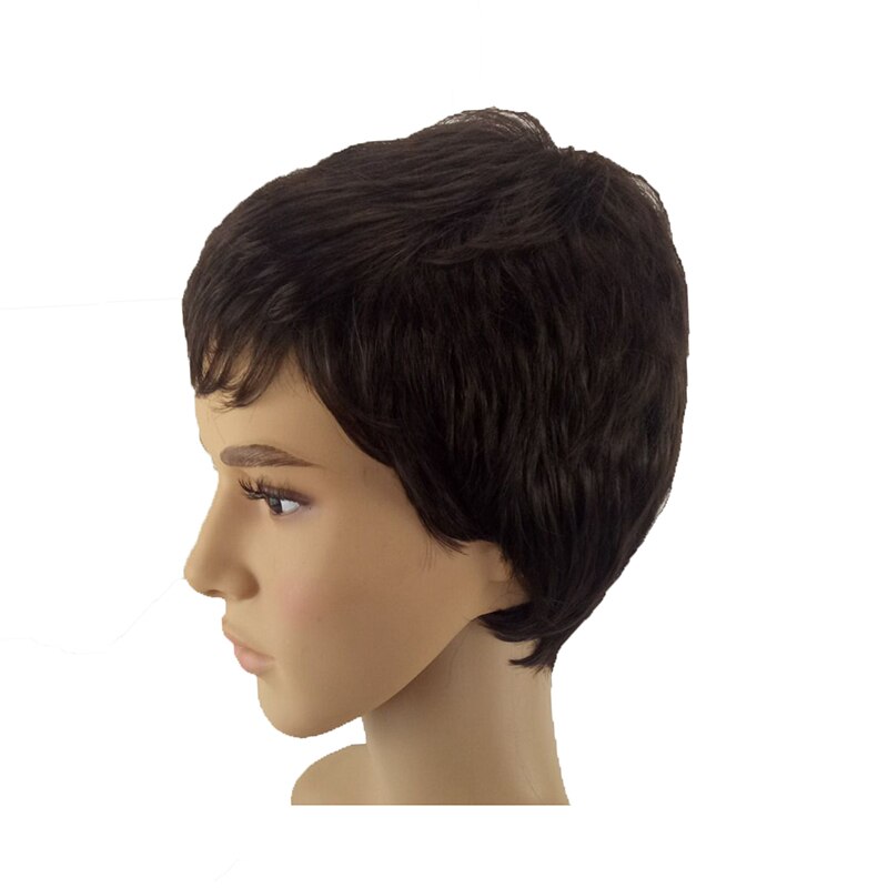 HAIRJOY Synthetic Hair Wigs Men Short Straight Wig Heat Resistant 4 Colors Available