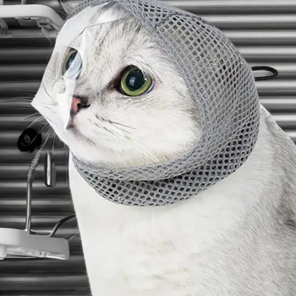 Breathable Cat Anti Bite Muzzles Adjustable Anti Scratch Kitten Anti-bite Headgear Comfortably Cat Grooming Restraint Bags