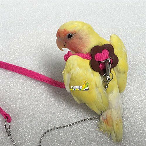 Arnés de pájaro para loro ajustable de 1,2 M, Correa Multicolor ligera suave de
