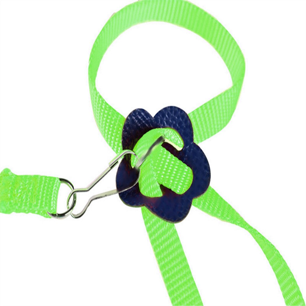 1 pièces harnais pour oiseaux laisse Nylon réglable perroquet harnais laisse fournitures pour oiseaux perroquet oiseau AntiBite en plein air harnais de vol