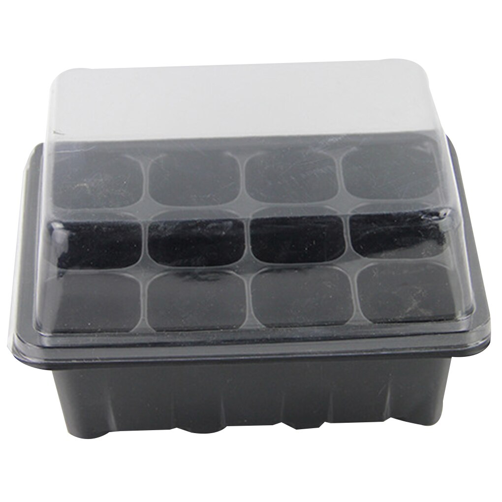 SMELEYOU 2 STKS Rvs Zaad Kieming Tray Kit Rechthoek Tarwegras Bean
