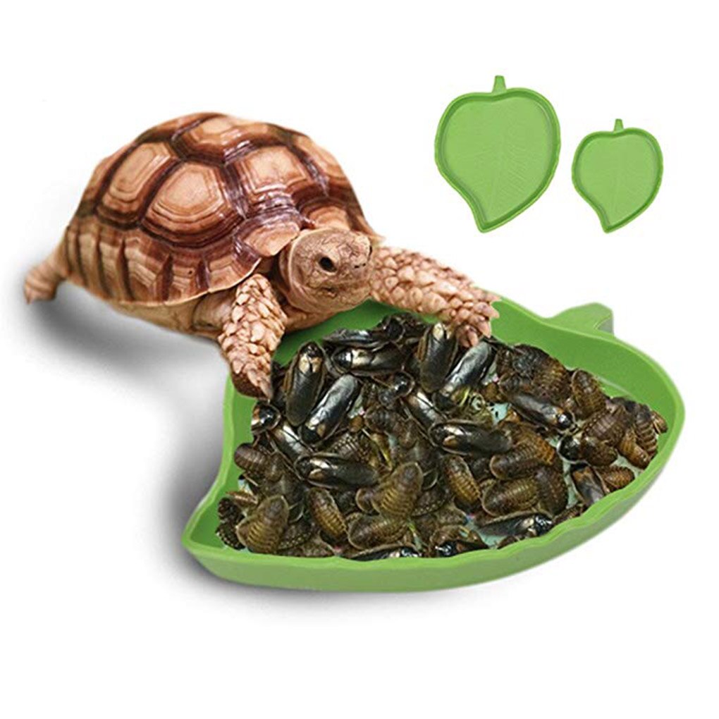 Amphibians Reptiles Feeder Plastic Reptile Terrarium Feeding Basin Tortoise Lizard Crawler Bowl Basin Water Fountain For Turtles