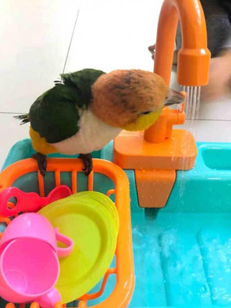 Bird Feeder Automatic Parrot Bathtub Swimming Pool Faucet Parrot Bath Shower Water Dispenser Bird Cage Bathroom Parrot pet Toys