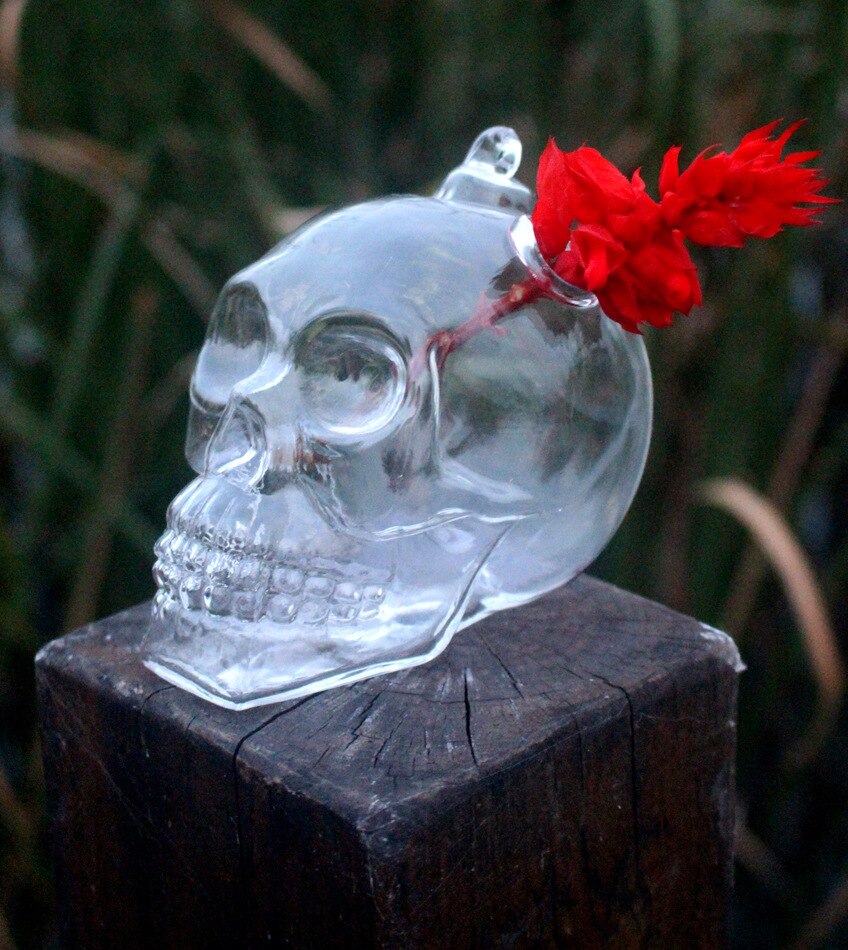 Vase à fleurs en verre pour jardin, 1 pièce, tête de mort, suspendu, style hydroponique