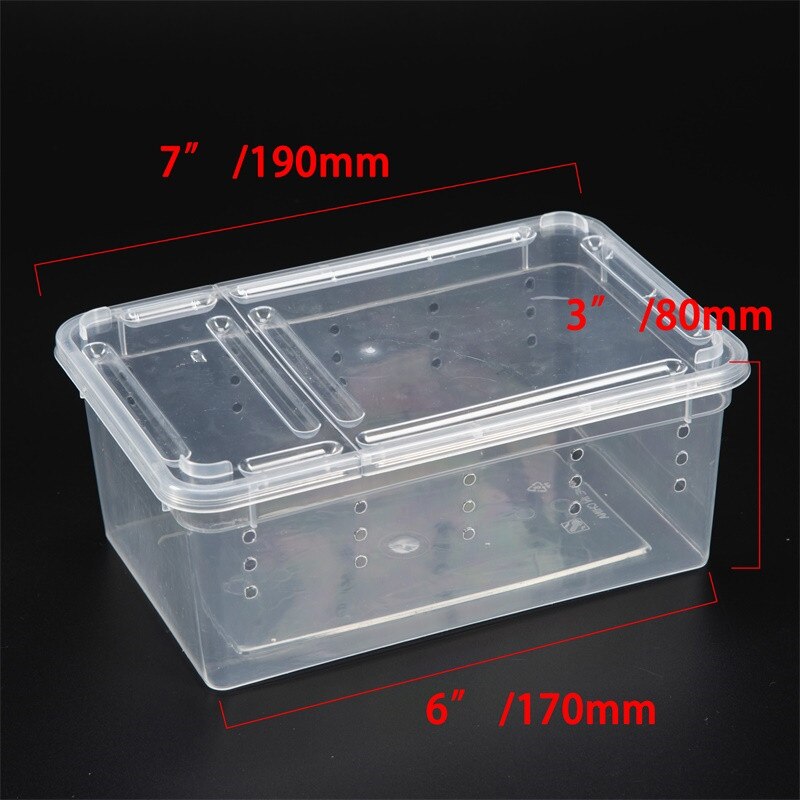 Caja de alimentación, jaula para reptil S/M/L, contenedor para incubación, tanque de cría para terrario, Tortuga, insecto Araña, casa, suministros para mascotas 1 unidad