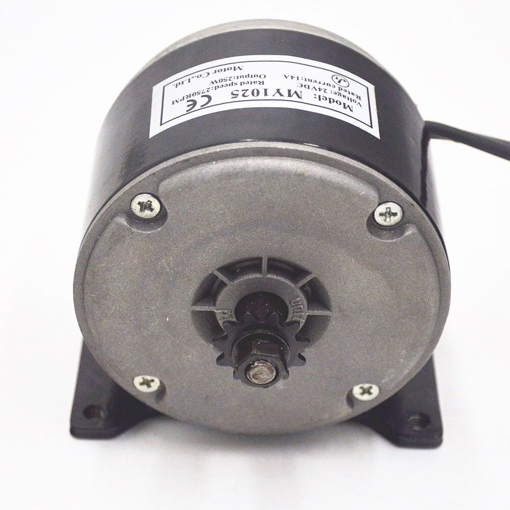 24V 250W electric bike brushed motor E-bike Motor my1025 for electric bicycle/scooter