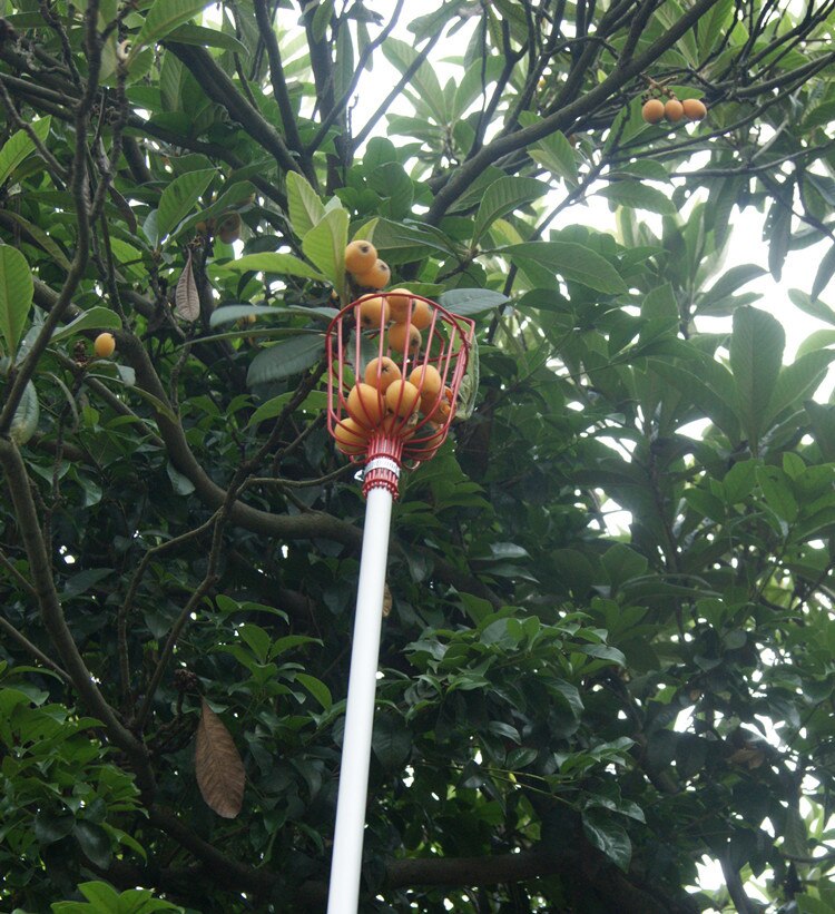 Fruit Picker Artifact Picker Picking Garden Tools Outdoor Aluminum Deep Basket With Foam Sheet Material A3 Steel Size 34*15CM