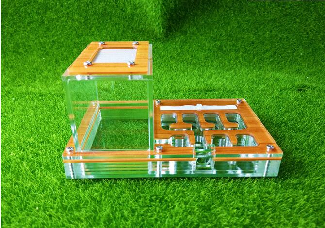 Ant Housing Nest Insect Cage Farms Feed Plastic Acrylic Display Trapezoid Box Ant Villa Nest Small Pet Cages Transparent Wood