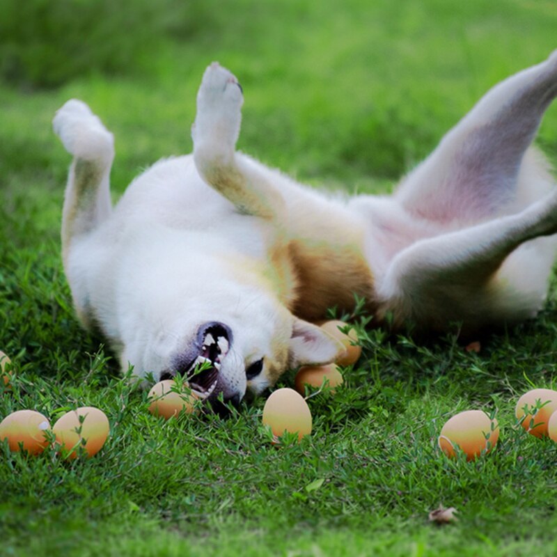 Little Dog Toy For Puppy Kitten Pet Interactive Egg Squeak Ball Molar Bite Resistant Toys Dog Supplies