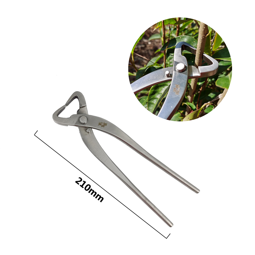 Herramienta de corte de poda de bonsái de acero inoxidable, tijeras para plantas y árboles, cortador de alambre para herramientas de poda de jardín: Verde