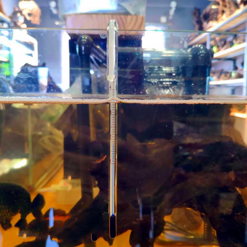 Aquarium thermometer temperatuur sticker temperatuurmeter temperatuurregelaar
