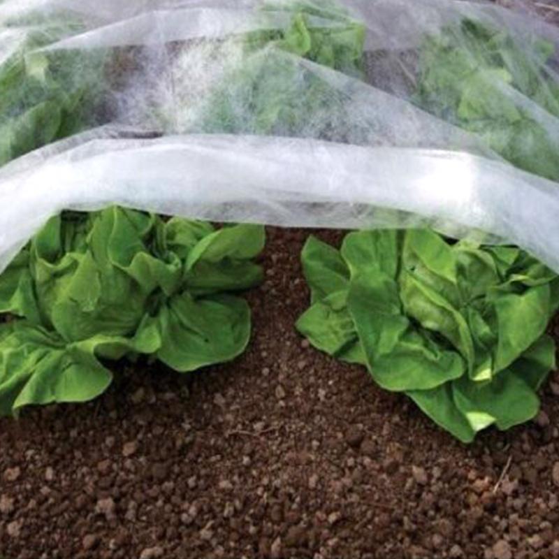 Garden Frost Protection Anti Insect Butterfly Yard Shade Plant Cover Keep Warm Horticultural Blanket Bags Tree Shrub Winter