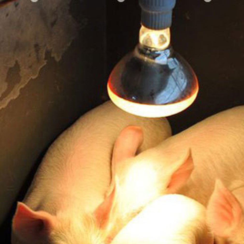 E27 Preservation Heat Lamp Thermal Lamp Red Infrared Short Wave Farm Pig Piggy Heat Light Bulb Thicken Brooder