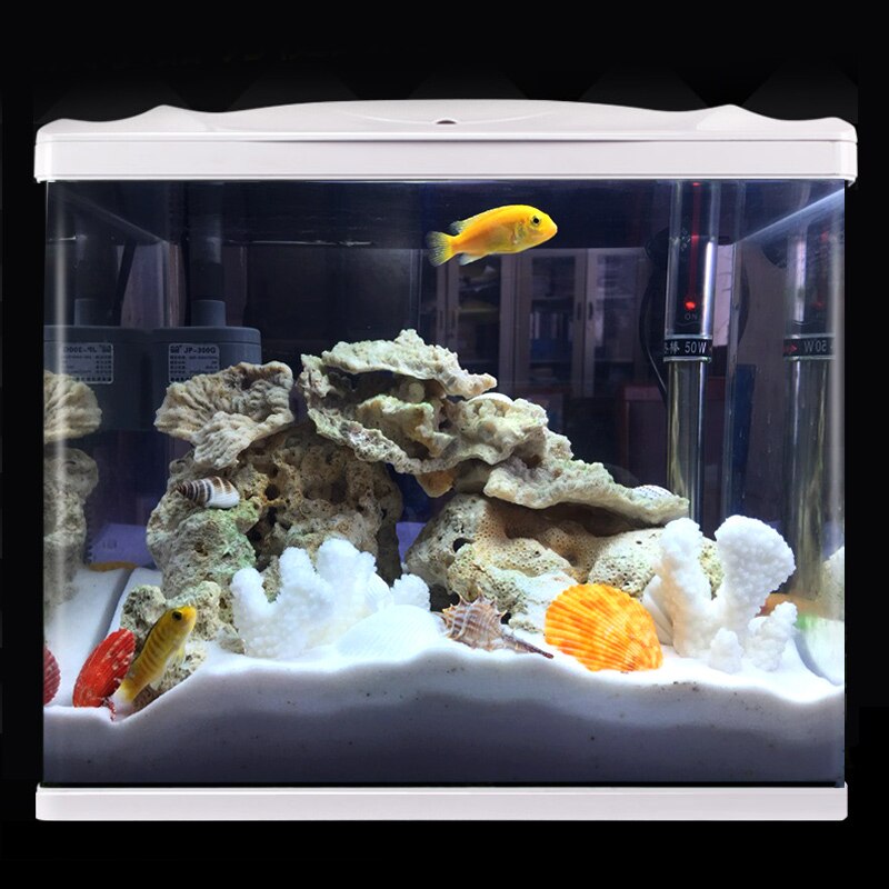 Wit Koraal Tak Schelp Aquarium Decoratie Aquarium Landschap Platform Decoratie Mediterrane Ambachten