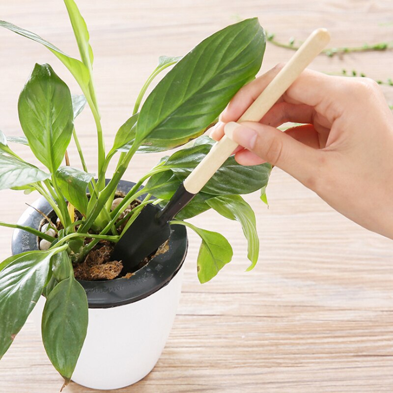 3 stk/sæt hjemmehaveværktøj skovle sæt mini rive haveværktøj 3- stk skovlkombination til blomster potteplante spadeskovl