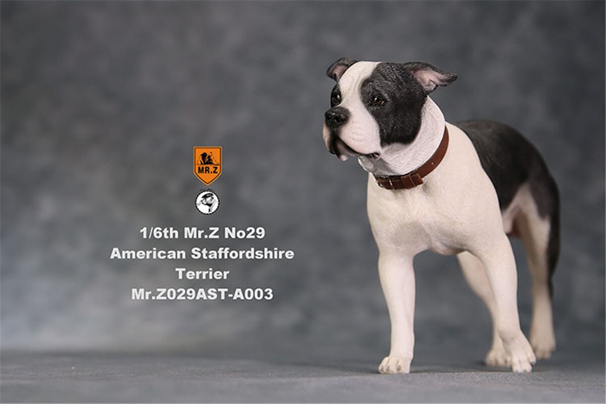 Mr.Z Studio 1:6 Amerikaanse Staffordshire Terrier Hond Pet Healing Figuur Canidae Diermodel Speelgoed Collector Desktop Decor Volwassen: A-003