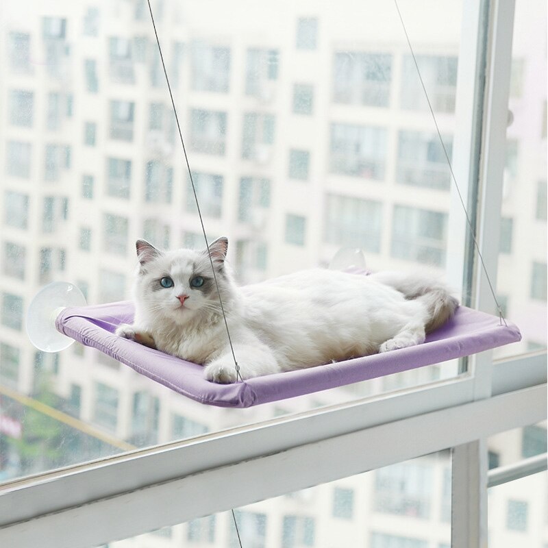 Kat solrigt sæde søde kæledyr hængende senge med 20kg vinduesmonterede kattekat hængekøje komfortable katte kæledyrs seng hylde sæde senge