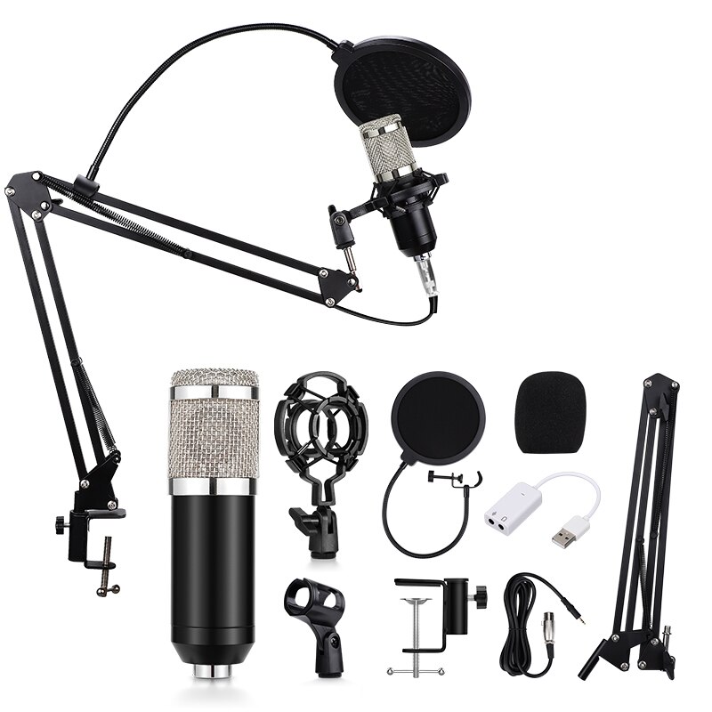SAMTIAN microphone BM 800 mic studio microphone condenser Stand Vocal Record KTV Karaoke Microphone For PC Computer: Silver Mic standard