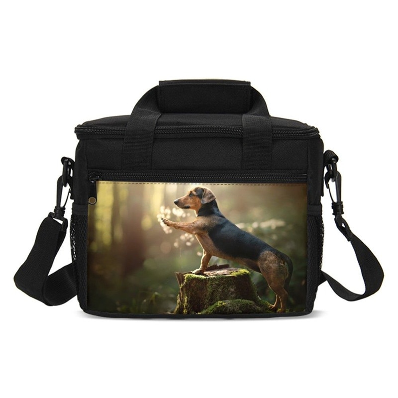 Animal Print Dachshund Sausage Dog Kawaii Kids Cooler Bag Picnic Outside Insulated Box Women Portable Lancheira Thermo Thermal