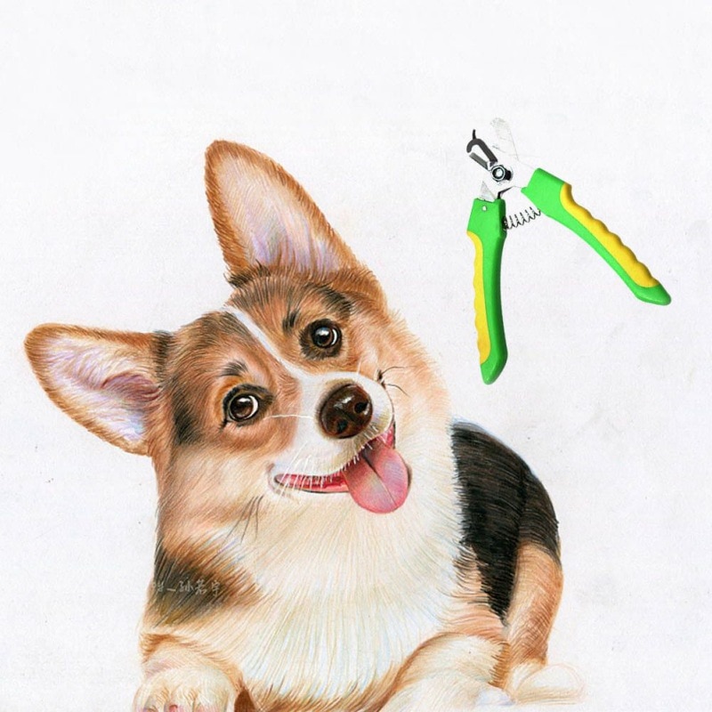 chien coupe-ongles coupe acier inoxydable toilettage ciseaux tondeuses pour animaux chats haut