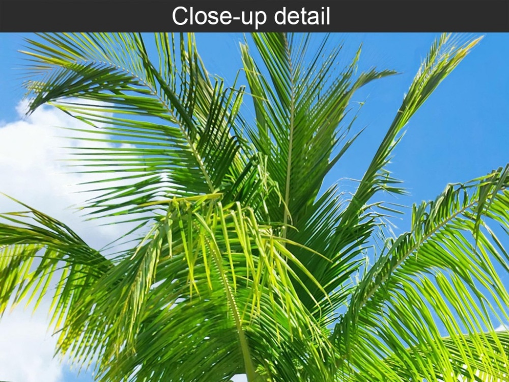 Waterproof Self-adhesive Wall Stickers Backdrop Wall Mural Hotel Living Room Wallpaper Decal Coconut Palm Beach