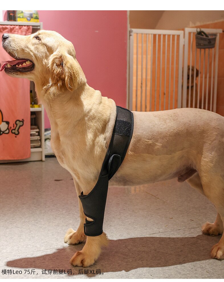 Huisdier Knie Pads Voor Achterpoten Letsel Herstellen Benen Protector Hond Kniebrace Verwondingen Been Brace Gezamenlijke Wrap Hond Verstelbare